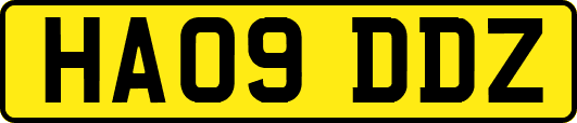 HA09DDZ