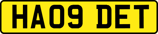 HA09DET