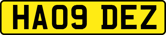 HA09DEZ