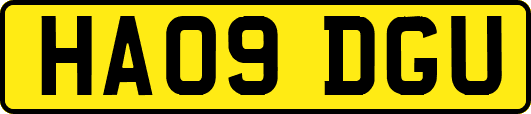HA09DGU