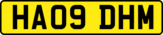 HA09DHM
