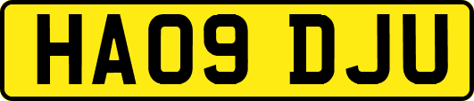HA09DJU