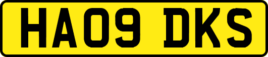 HA09DKS