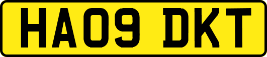 HA09DKT