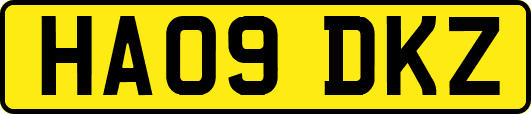 HA09DKZ
