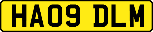 HA09DLM