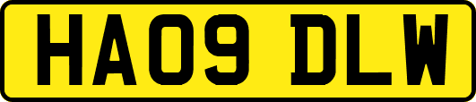 HA09DLW