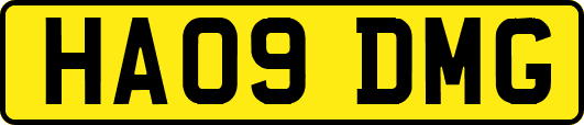 HA09DMG