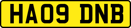 HA09DNB