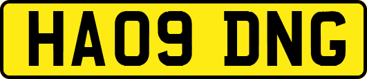 HA09DNG