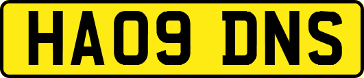 HA09DNS