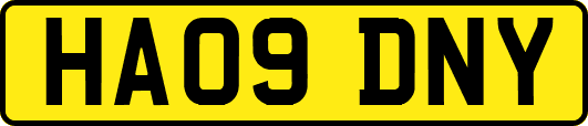 HA09DNY