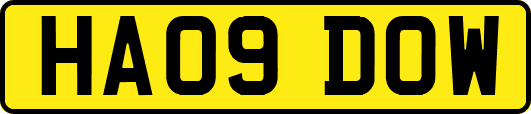 HA09DOW