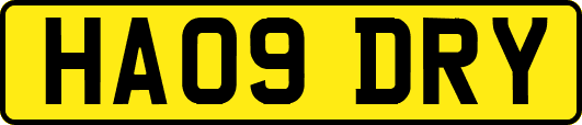 HA09DRY