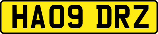 HA09DRZ