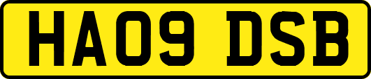 HA09DSB