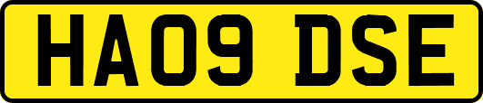 HA09DSE