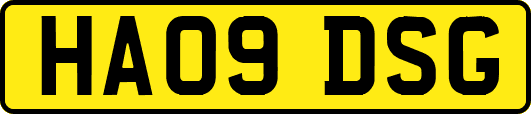 HA09DSG