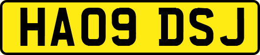 HA09DSJ