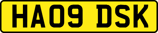 HA09DSK
