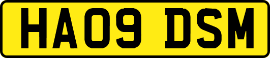 HA09DSM