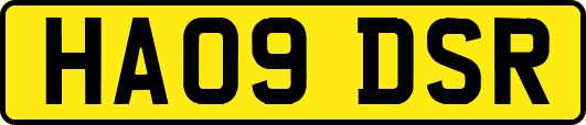 HA09DSR