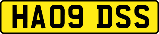 HA09DSS