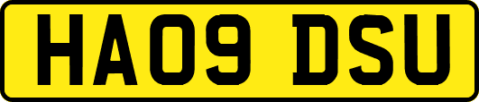 HA09DSU