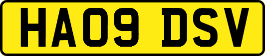 HA09DSV