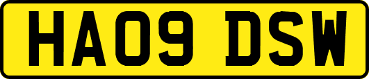 HA09DSW