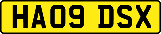 HA09DSX