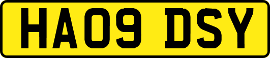 HA09DSY