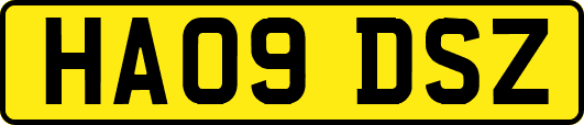 HA09DSZ