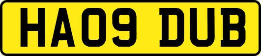 HA09DUB