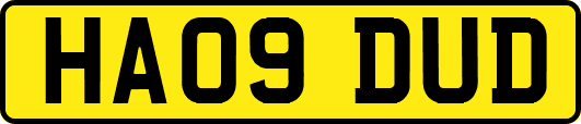 HA09DUD