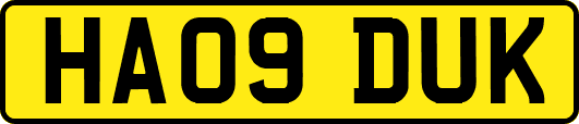 HA09DUK