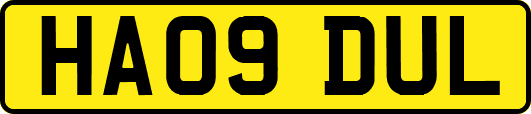 HA09DUL