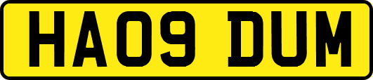 HA09DUM