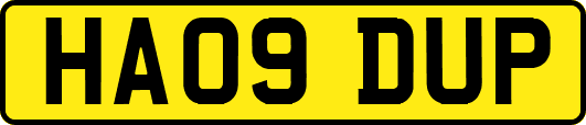 HA09DUP