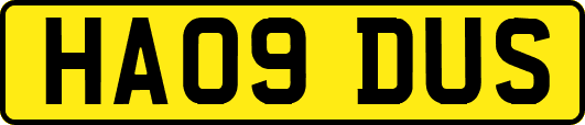 HA09DUS