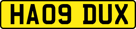 HA09DUX