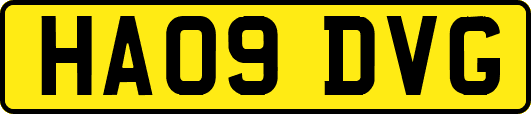HA09DVG