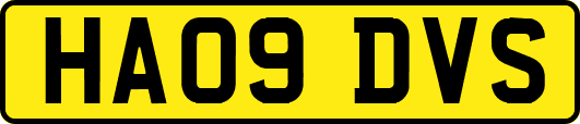 HA09DVS