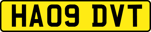 HA09DVT