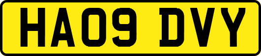HA09DVY