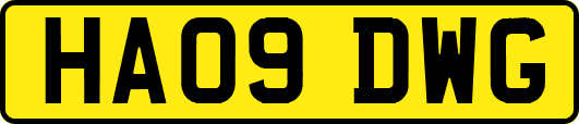 HA09DWG