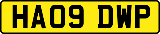 HA09DWP