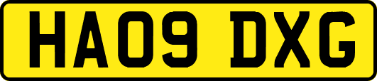 HA09DXG