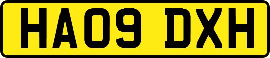 HA09DXH