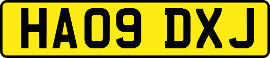 HA09DXJ